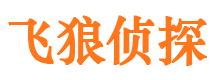 精河外遇调查取证